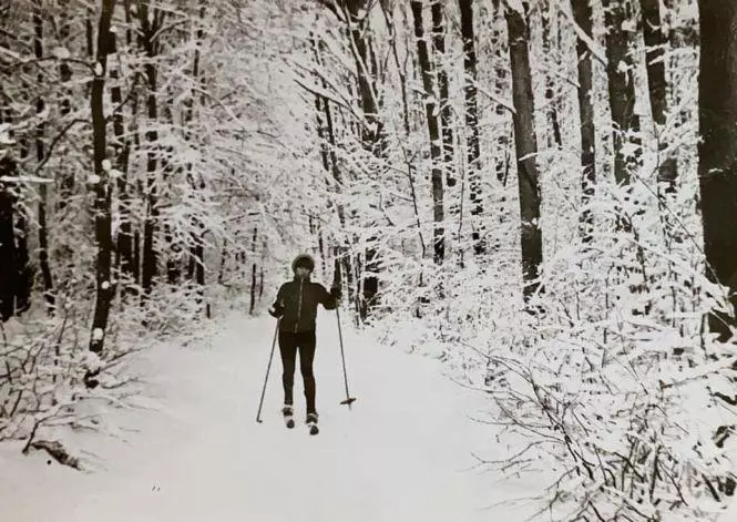 Новини Вінниці - фото з «Такі морози не витримували ні люди, ні тварини»: розповідаємо про найхолодніші в історії вінницькі зими