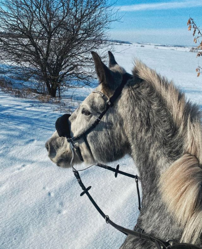 Новини Хмельницького - фото з Хмельничани в Instagram: зібрали кращі фото за останній тиждень