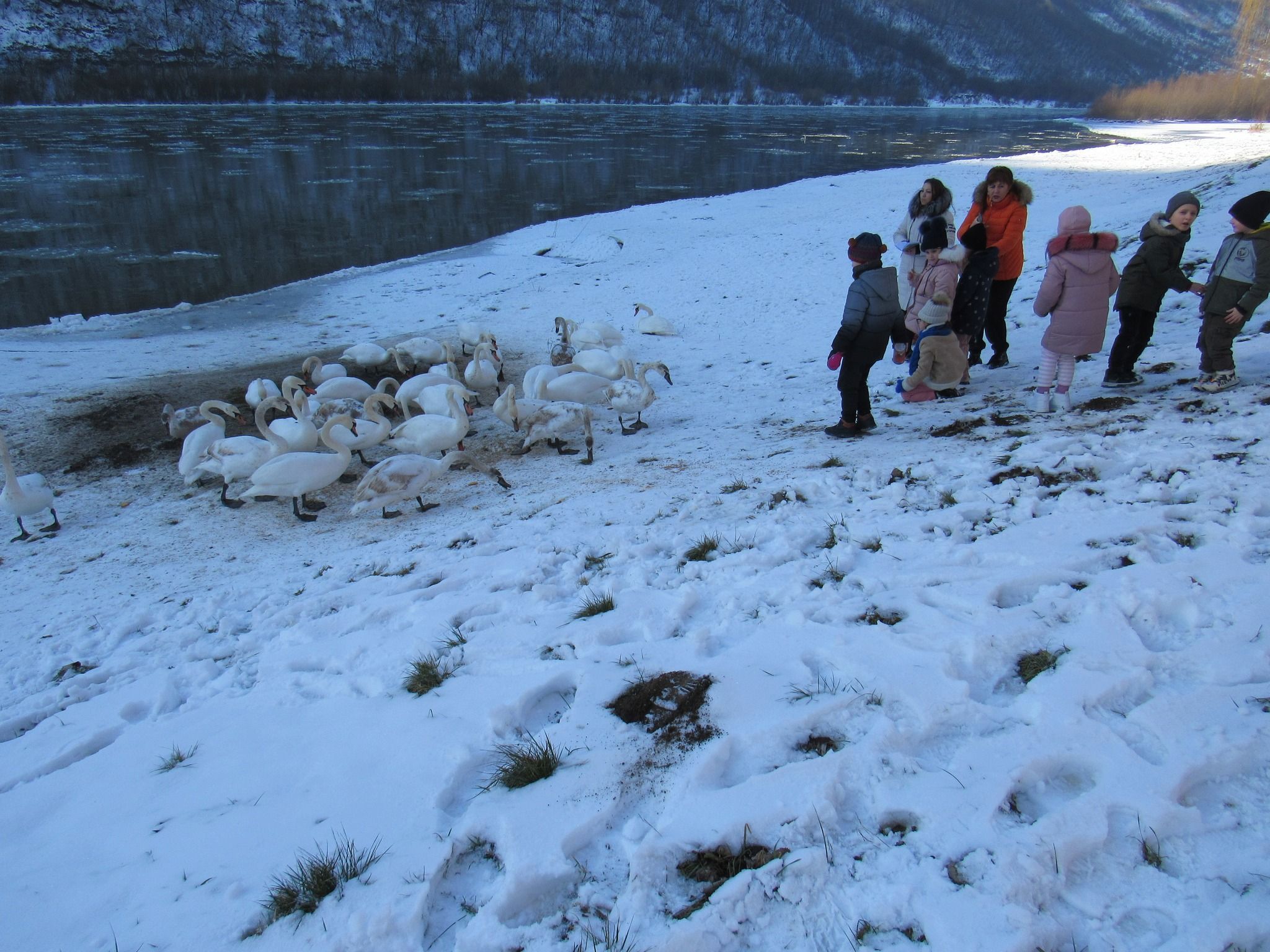 Новини Тернополя - фото з На Дністрі виявили найбільшого хижого птаха України і порахували пернатих