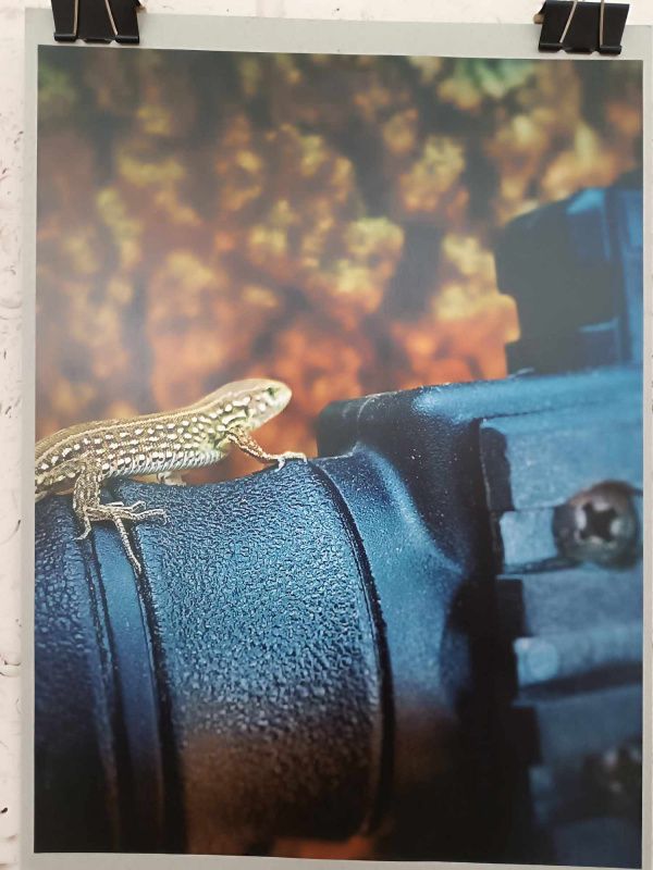 Новини Тернополя - фото з У Тернополі діє фотовиставка військовослужбовця Юрія Костишина