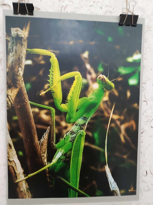 Новини Тернополя - фото з У Тернополі діє фотовиставка військовослужбовця Юрія Костишина