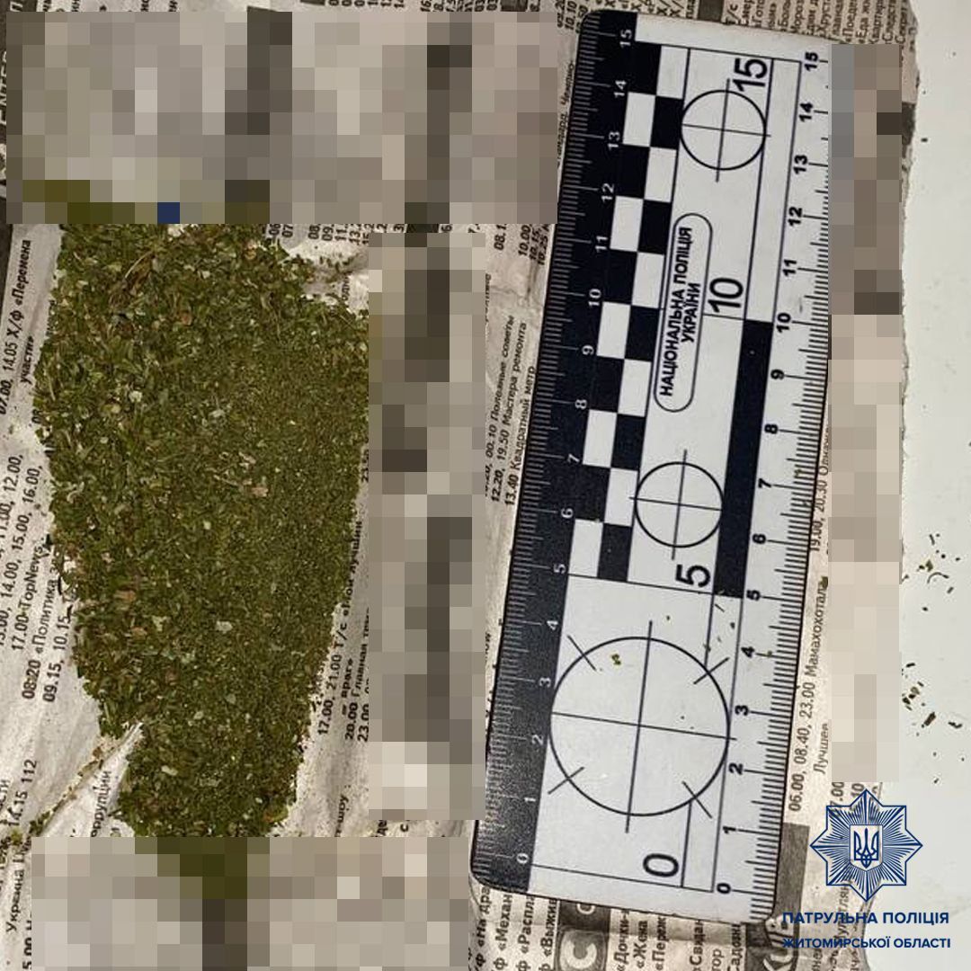 Новини Житомира - фото з На вулиці Домбровського  ТОРівці зупинили чоловіка з наркотиками