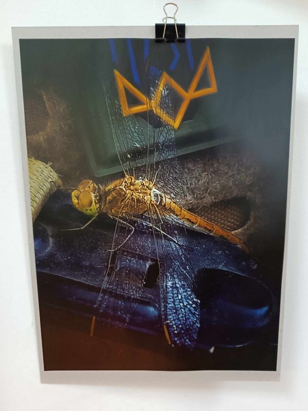 Новини Тернополя - фото з У Тернополі діє фотовиставка військовослужбовця Юрія Костишина