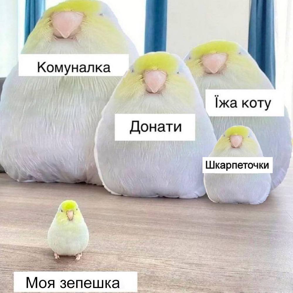 Новини Вінниці - фото з Новини України та світу за минулий тиждень: огляд у мемах