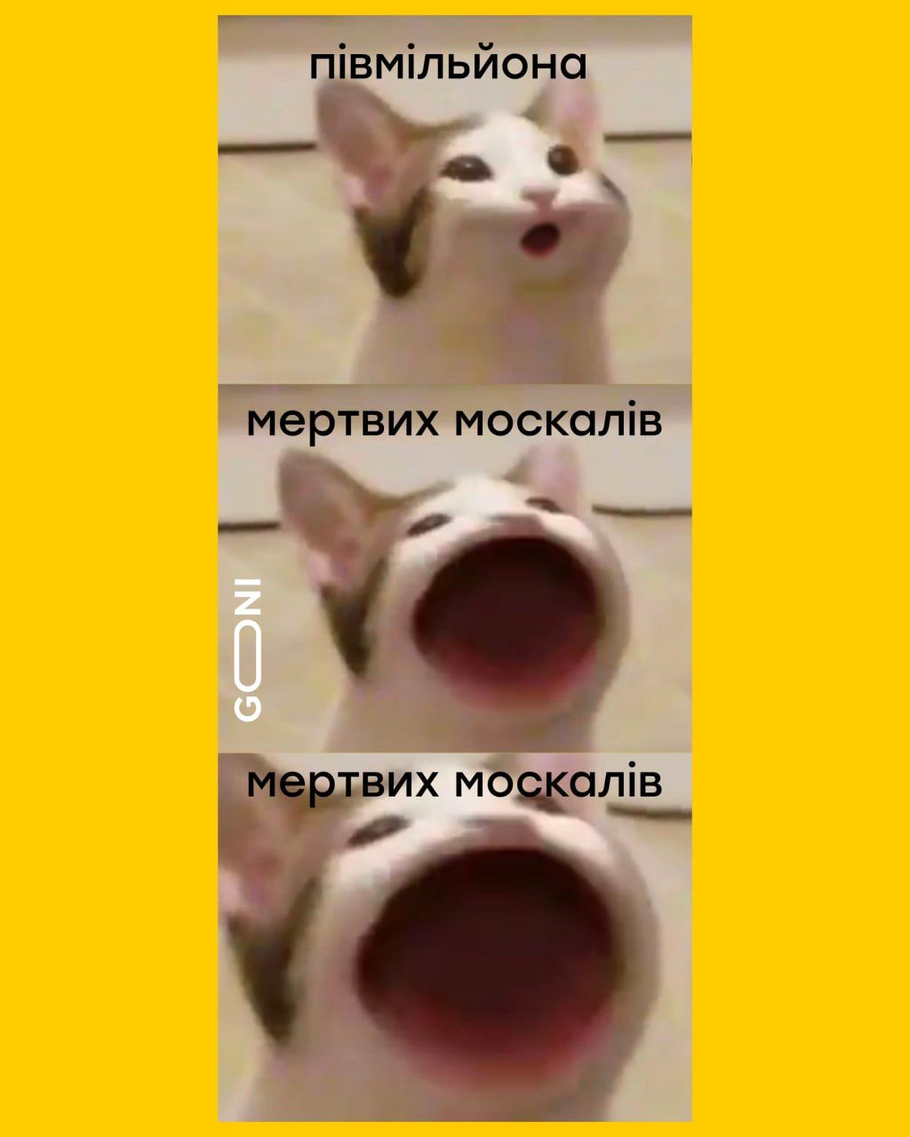 Новини Вінниці - фото з Новини України та світу за минулий тиждень: огляд у мемах