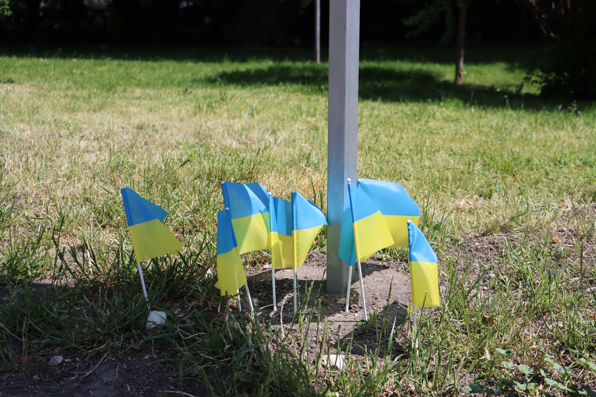 Новини Тернополя - фото з Бульвар Шевченка усіяний квітами: тернополяни вшановують пам’ять загиблих Героїв