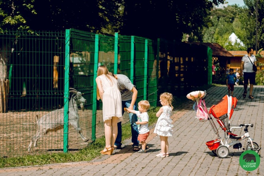Новини Тернополя - фото з ТОП 10 зоопарків та зоокутків Західної України,куди варто поїхати з дітьми