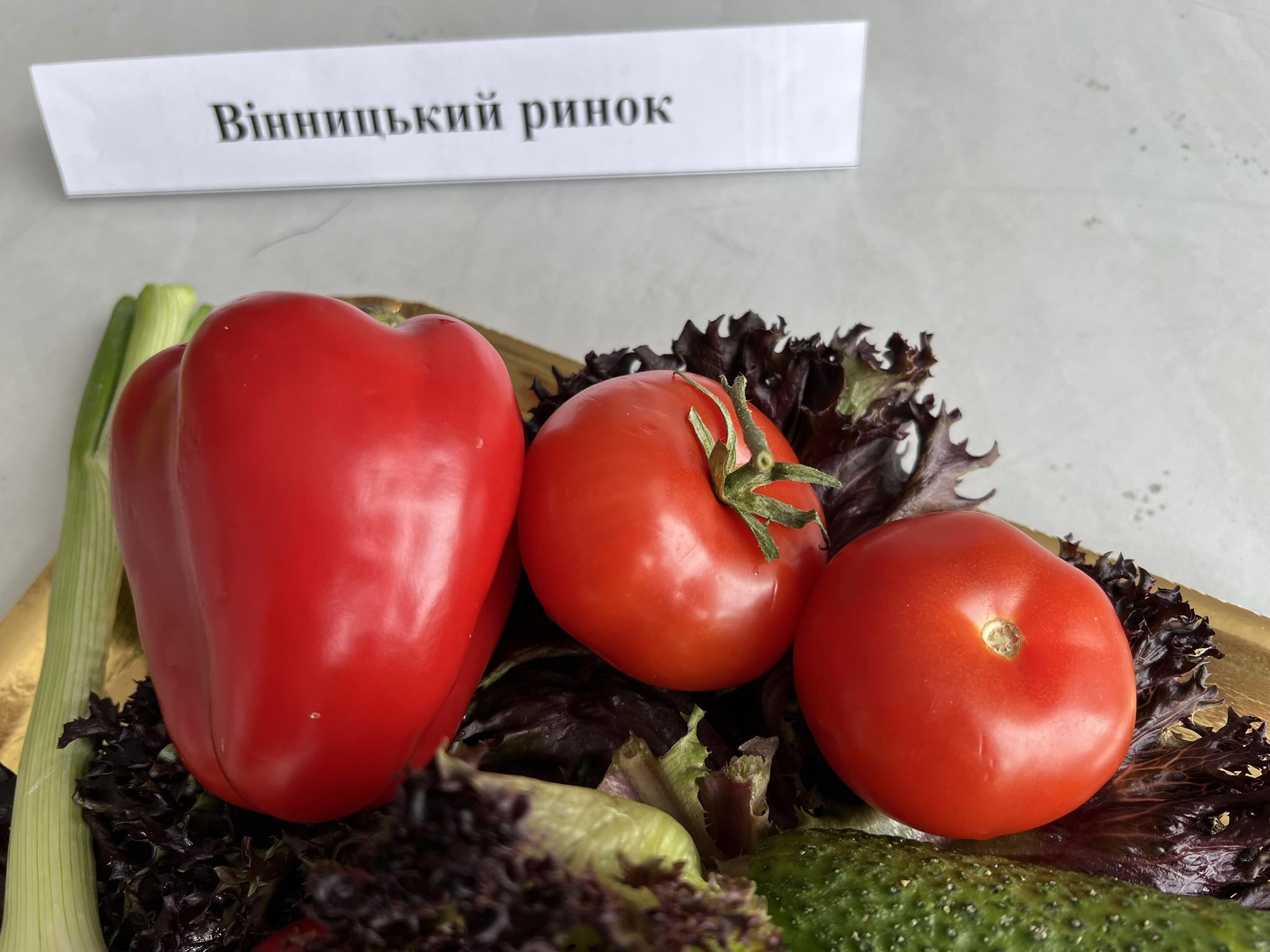 Новини Вінниці - фото з Ми перевірили овочі для вітамінного салату: у редисці зашкалює рівень нітратів