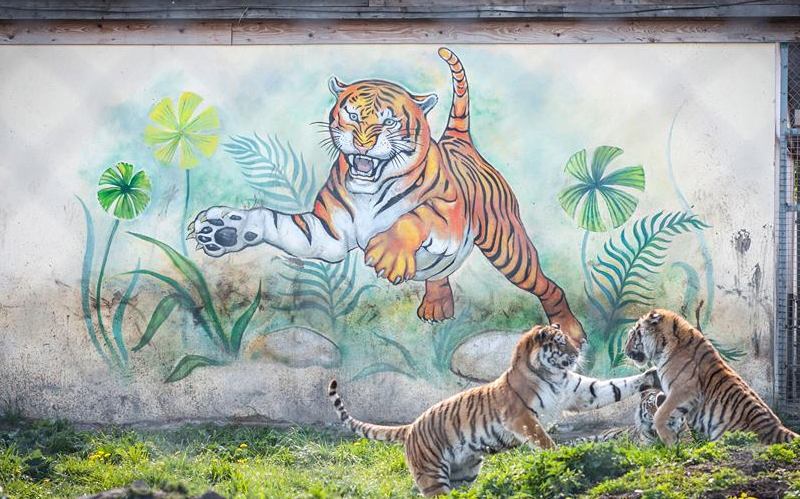 Новини Тернополя - фото з ТОП 10 зоопарків та зоокутків Західної України,куди варто поїхати з дітьми