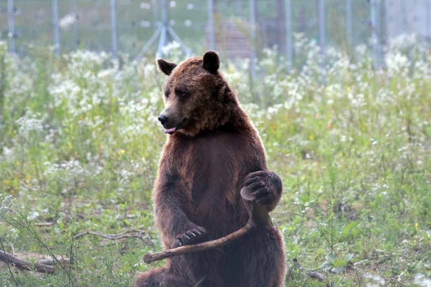 Новини Тернополя - фото з ТОП 10 зоопарків та зоокутків Західної України,куди варто поїхати з дітьми