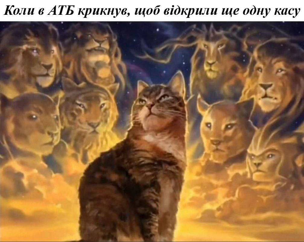 Новини Вінниці - фото з Новини України та світу за минулий тиждень: огляд у мемах