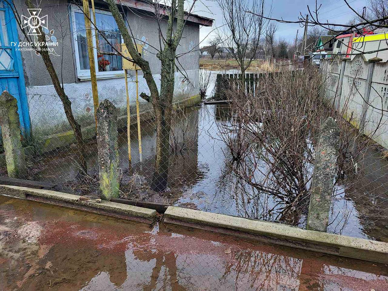 Новини Житомира - фото з Відкачували воду, прибирали 5 повалених дерев, рятували людей – 9 виїздів рятувальників упродовж доби