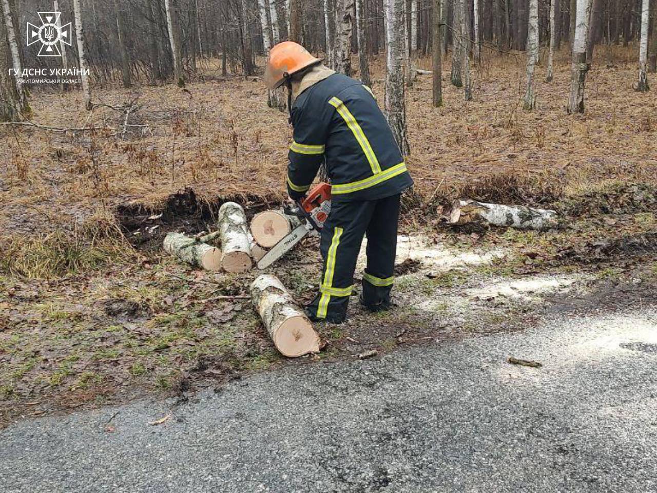 Новини Житомира - фото з Відкачували воду, прибирали 5 повалених дерев, рятували людей – 9 виїздів рятувальників упродовж доби