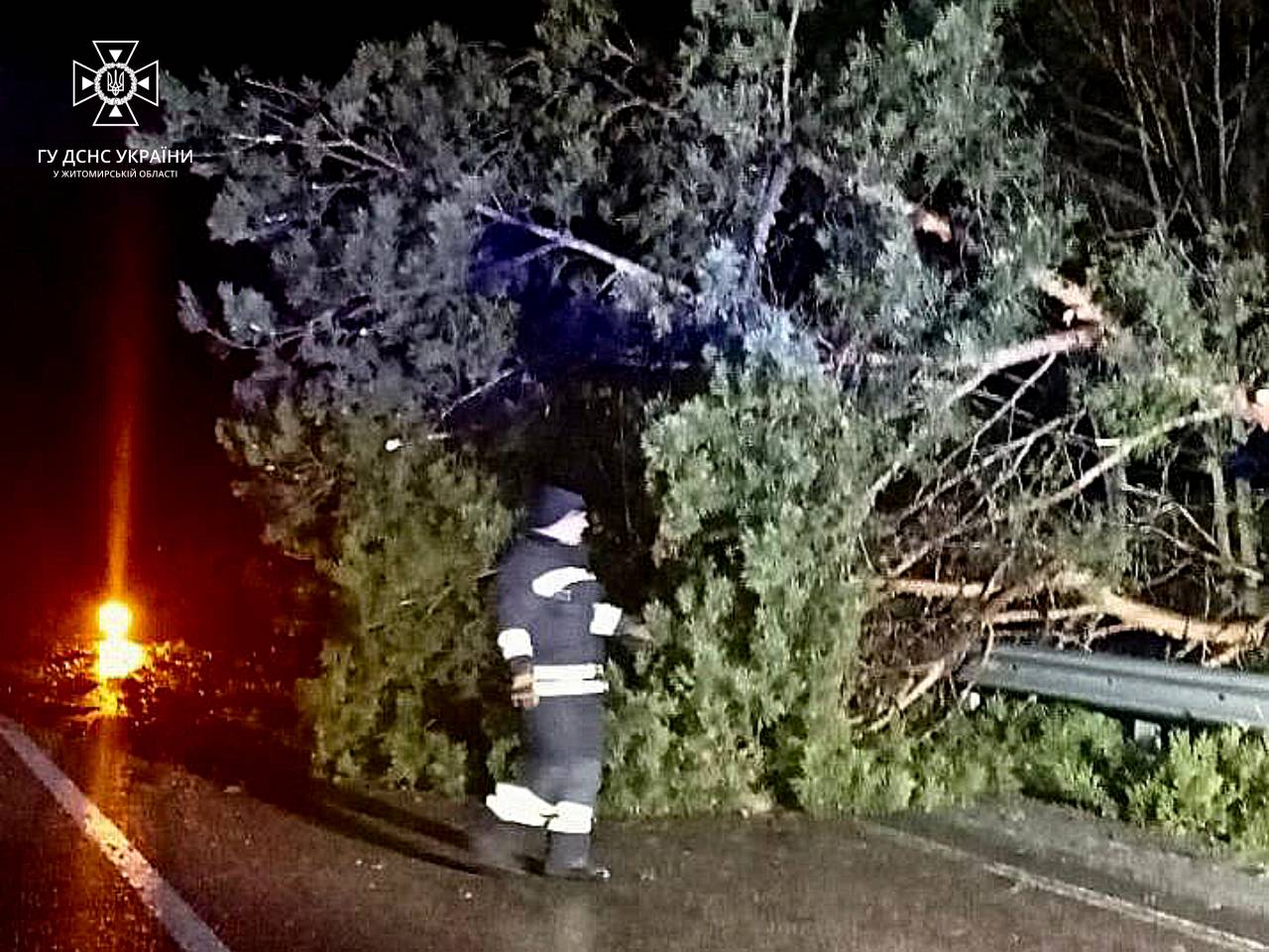 Новини Житомира - фото з Відкачували воду, прибирали 5 повалених дерев, рятували людей – 9 виїздів рятувальників упродовж доби