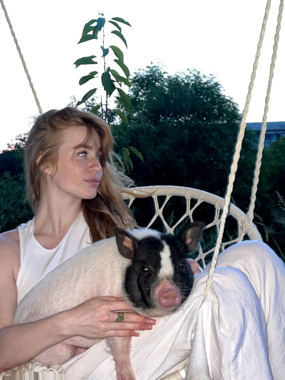 Новини Вінниці - фото з Свинка замість собаки чи кота. Дізналися у власниці міні-піга, як тримати таку тварину вдома