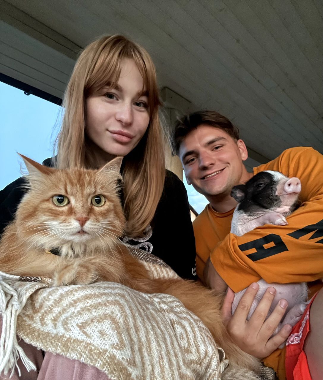 Новини Вінниці - фото з Свинка замість собаки чи кота. Дізналися у власниці міні-піга, як тримати таку тварину вдома