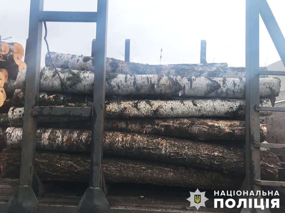 на околиці житомира поліцейські затримали автомобіль з нелегальним лісом
