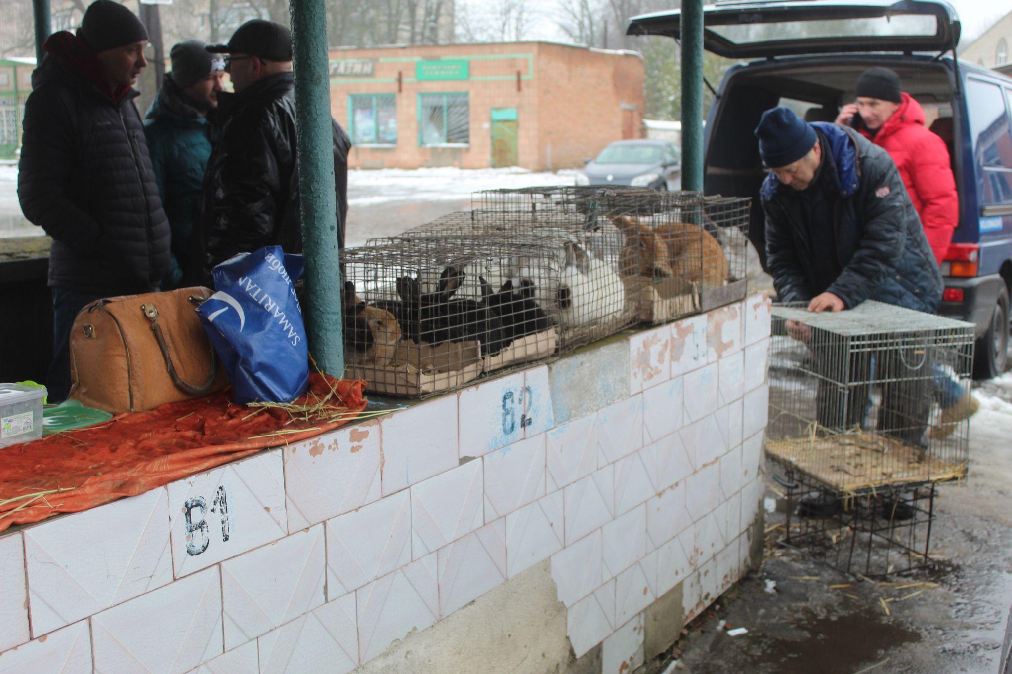 Новини Козятина - фото з Дощова погода завадила виставці та не зіпсувала добрий настрій її учасникам