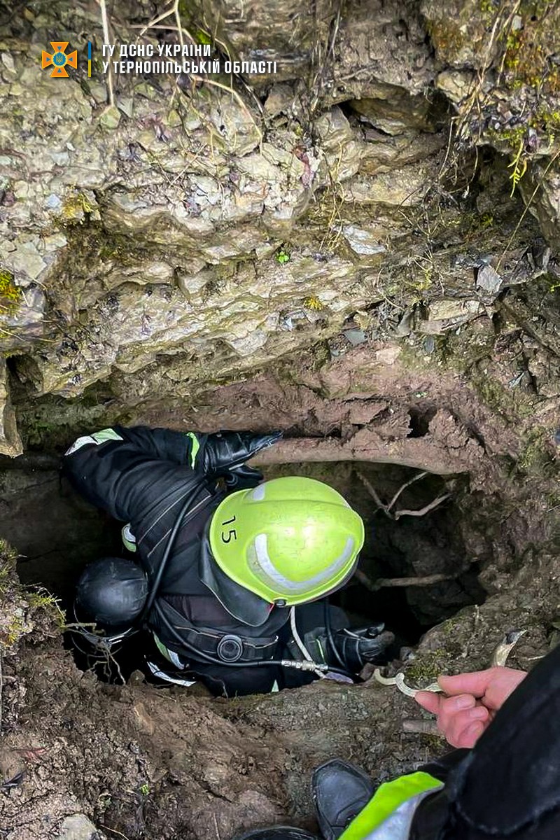 Новини Тернополя - фото з На Тернопільщині врятували собаку, який впав у щілину в Дністровському каньйоні