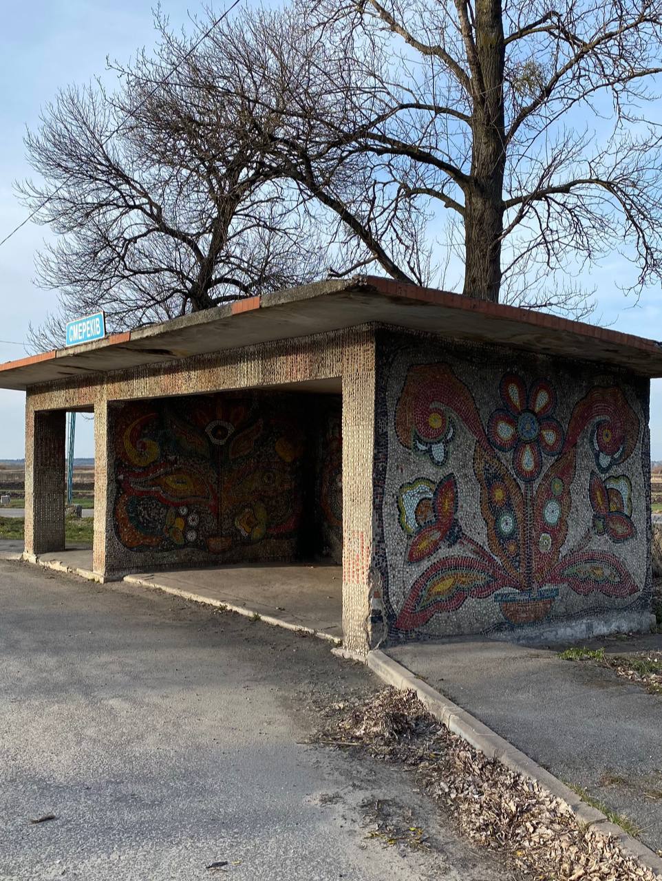 Новини Хмельницького - фото з Студент з Хмельниччини займається збереженням мозаїчних автобусних зупинок