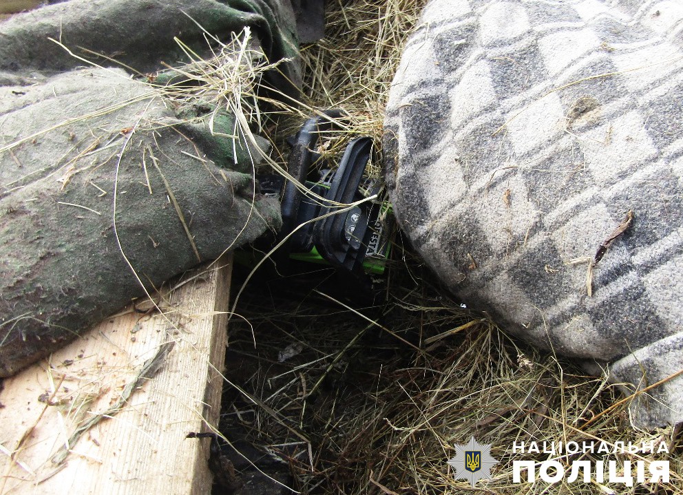 звягельські поліцейські розпочали розслідування незаконної порубки лісу
