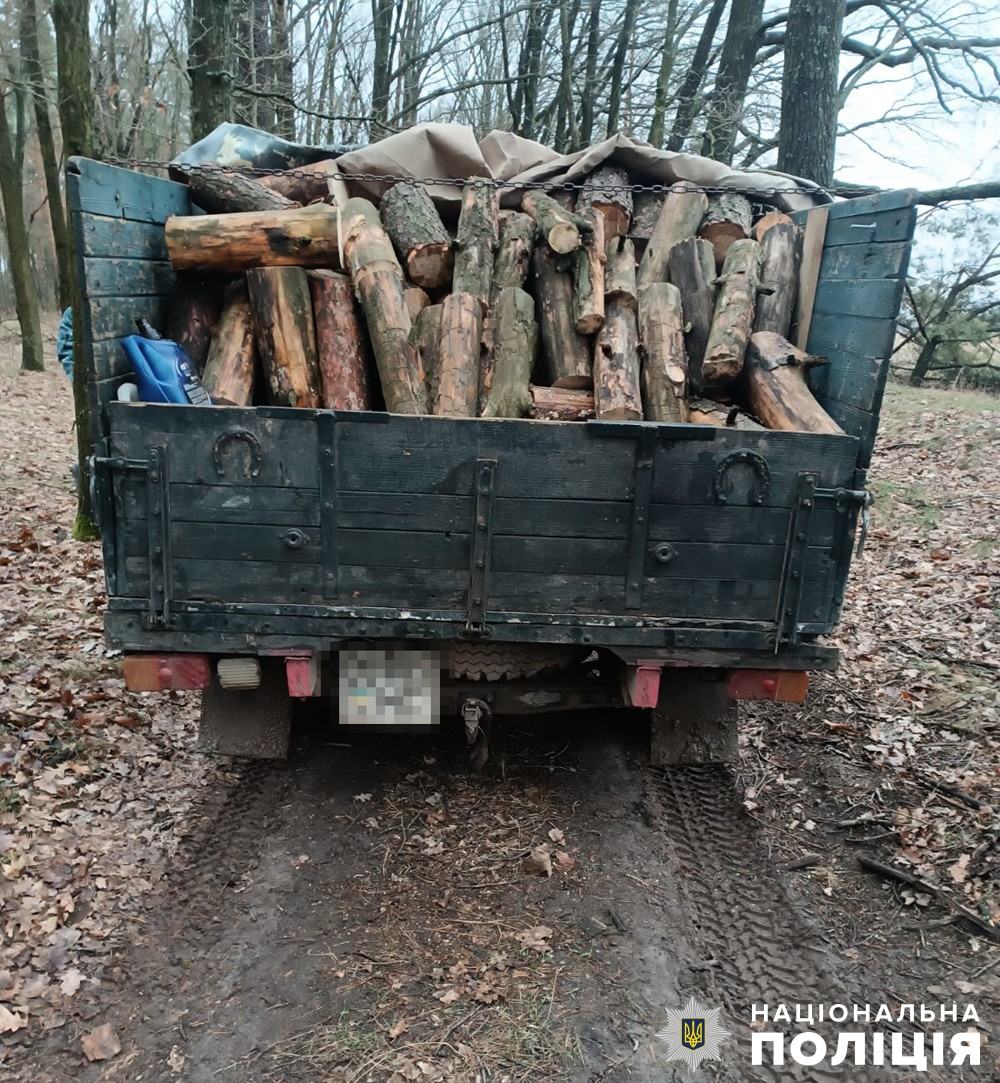 поліцейські викрили причетного до незаконної порубки лісу в брусилівській громаді