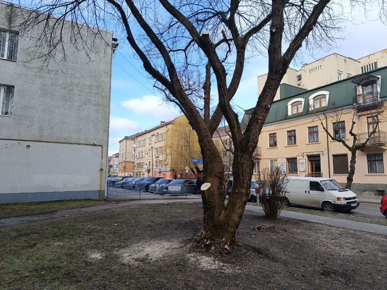 Новини Тернополя - фото з Навіщо у Сквері волонтерів обрізали дерева