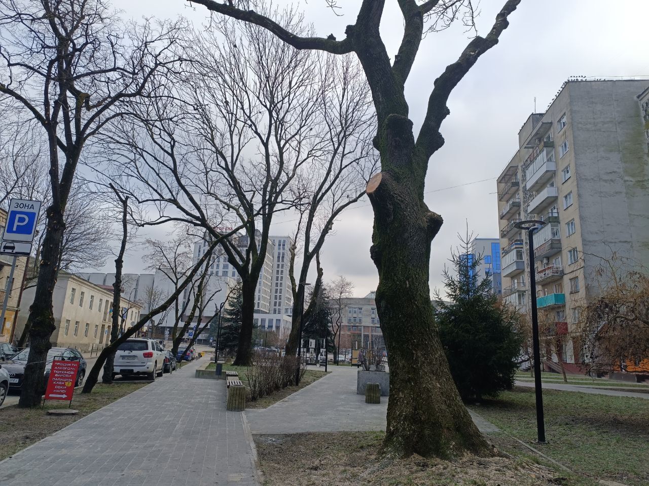 Новини Тернополя - фото з Навіщо у Сквері волонтерів обрізали дерева