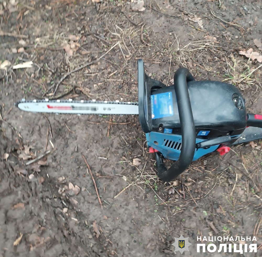 поліцейські викрили причетного до незаконної порубки лісу в брусилівській громаді