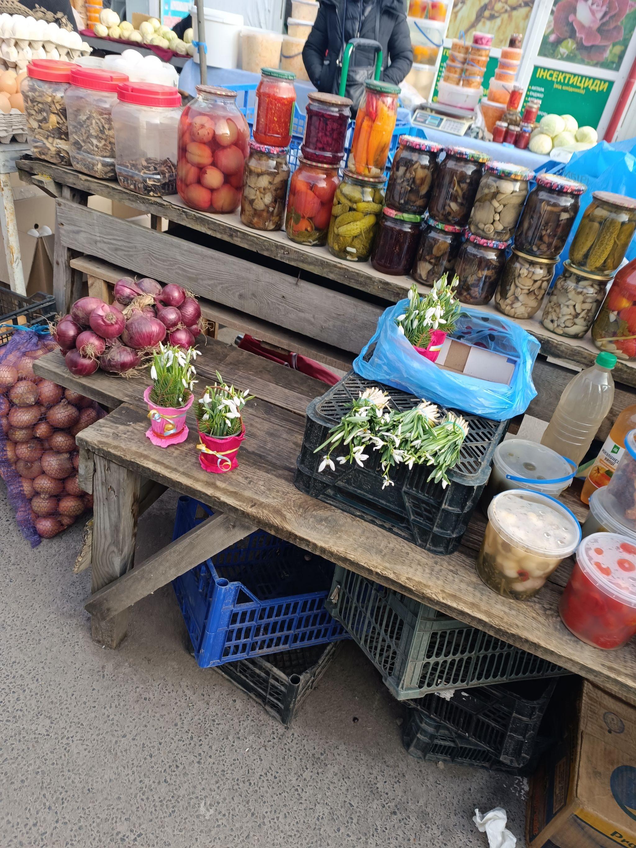 Новини Тернополя - фото з Продають попри заборони: у Тернополі вже можна купити червонокнижні підсніжники
