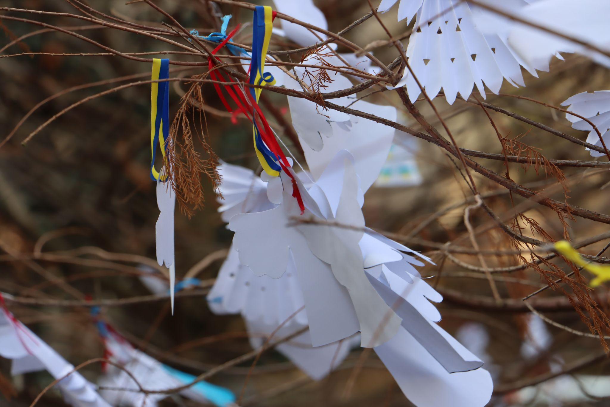 Новини Тернополя - фото з Сквер Волонтерів прикрасили сотнями паперових ангелів (ФОТО)
