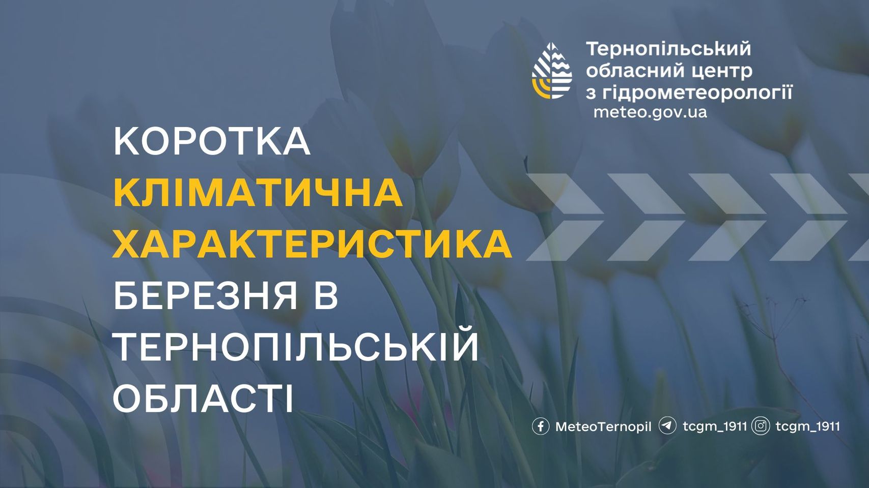 На зображенні може бути: текст