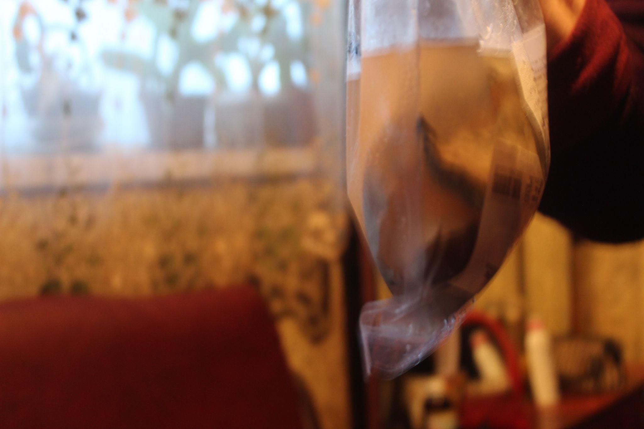 Новини Козятина - фото з Полуниці для гурманів, крихка печінка та пакет риби з водою