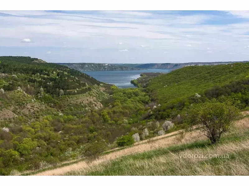 Новини Хмельницького - фото з Землю на березі Дністра біля Бакоти продали на аукціоні