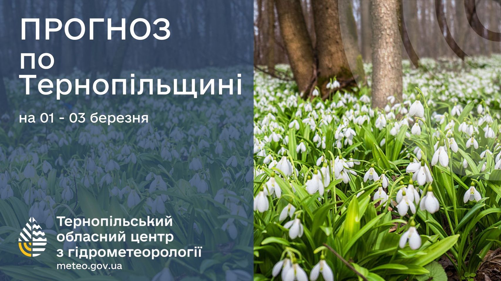 На зображенні може бути: текст