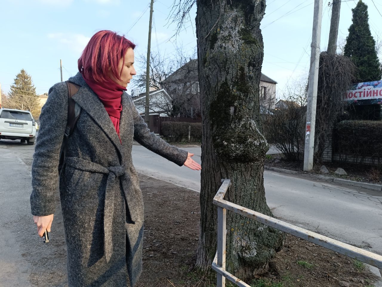 Новини Вінниці - фото з «Це небезпечно для життя та здоров'я людей»: що не так з кронуванням дерев у Вінниці?