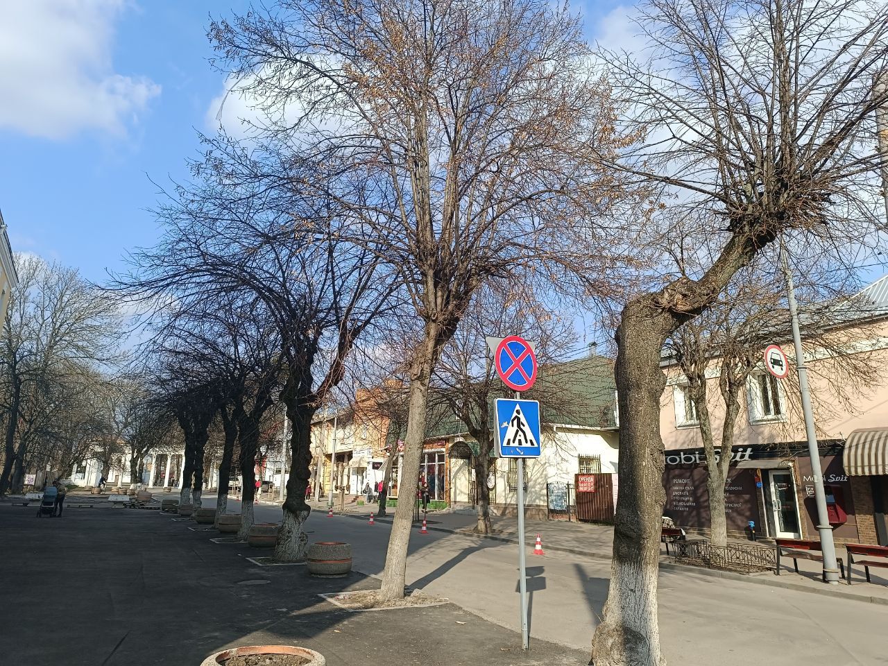 Новини Вінниці - фото з «Це небезпечно для життя та здоров'я людей»: що не так з кронуванням дерев у Вінниці?