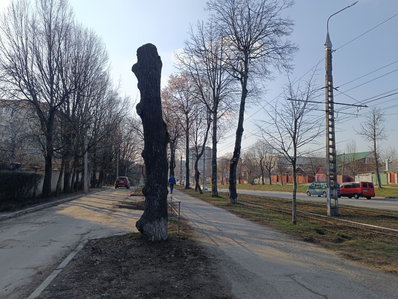 Новини Вінниці - фото з «Це небезпечно для життя та здоров'я людей»: що не так з кронуванням дерев у Вінниці?