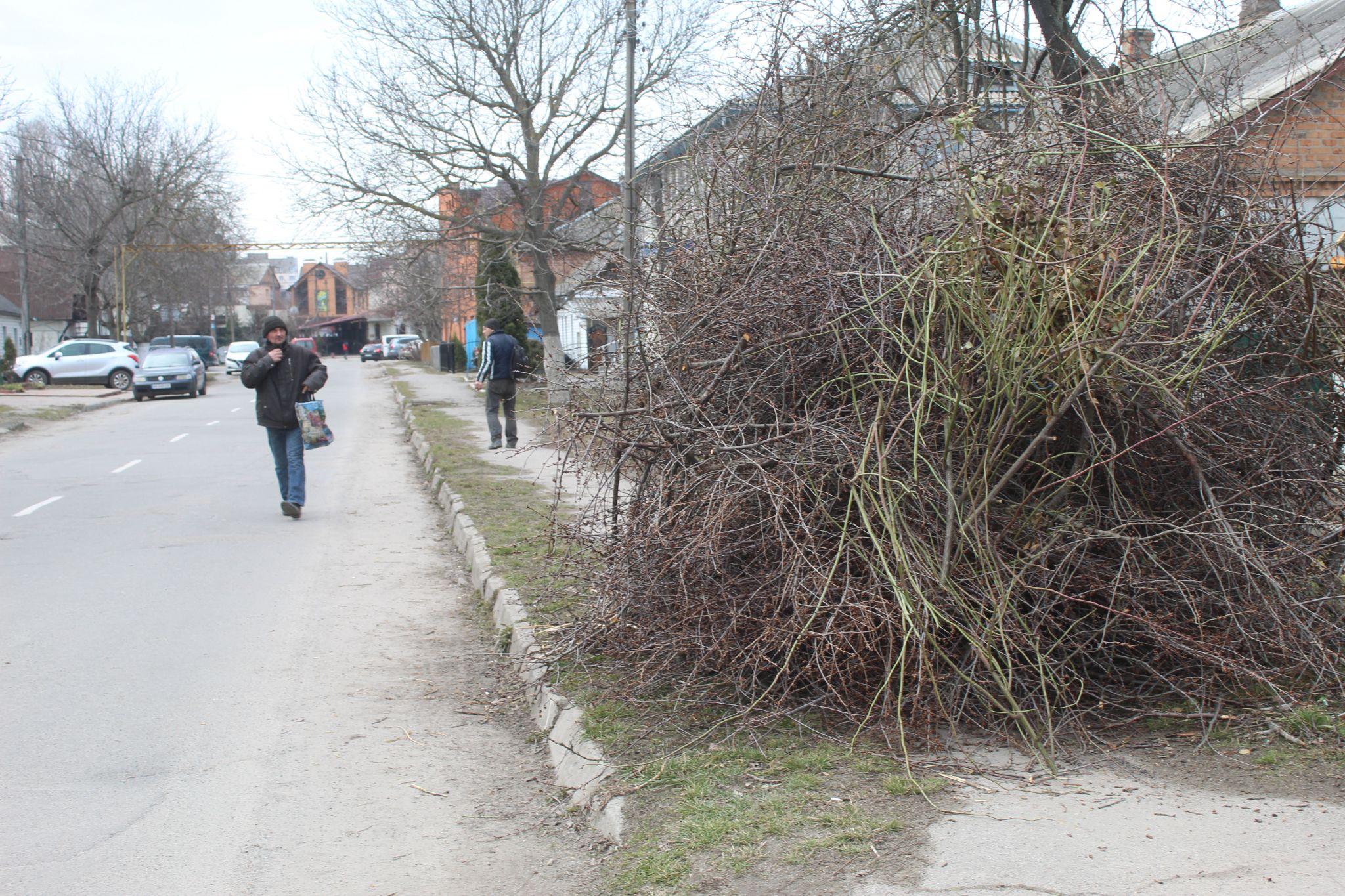 Новини Козятина - фото з «Підпалив гілля на купі — порушення. Порубати і спалити в плиті — цілком законно. Де логіка?»