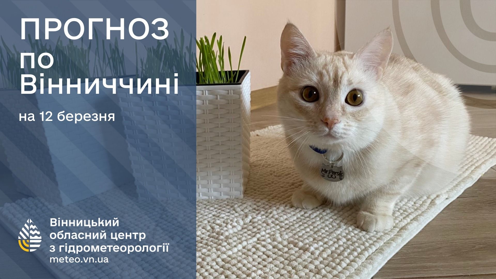 Новини Козятина - фото з Штормовий вітер, мокрий сніг та ожеледиця — попереджають про небезпечні метеорологічні явища