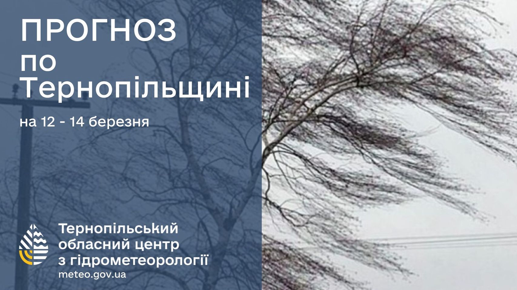 На зображенні може бути: текст