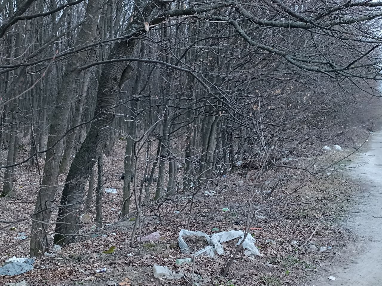 Новини Вінниці - фото з Біля Вінниці вже майже друга Стадниця. Дорога до села Майдан-Чапельський стає звалищем