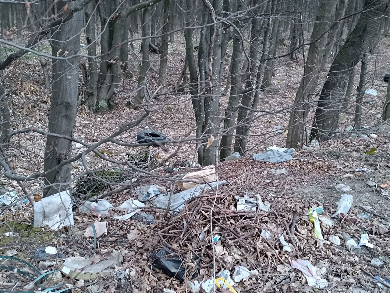 Новини Вінниці - фото з Біля Вінниці вже майже друга Стадниця. Дорога до села Майдан-Чапельський стає звалищем