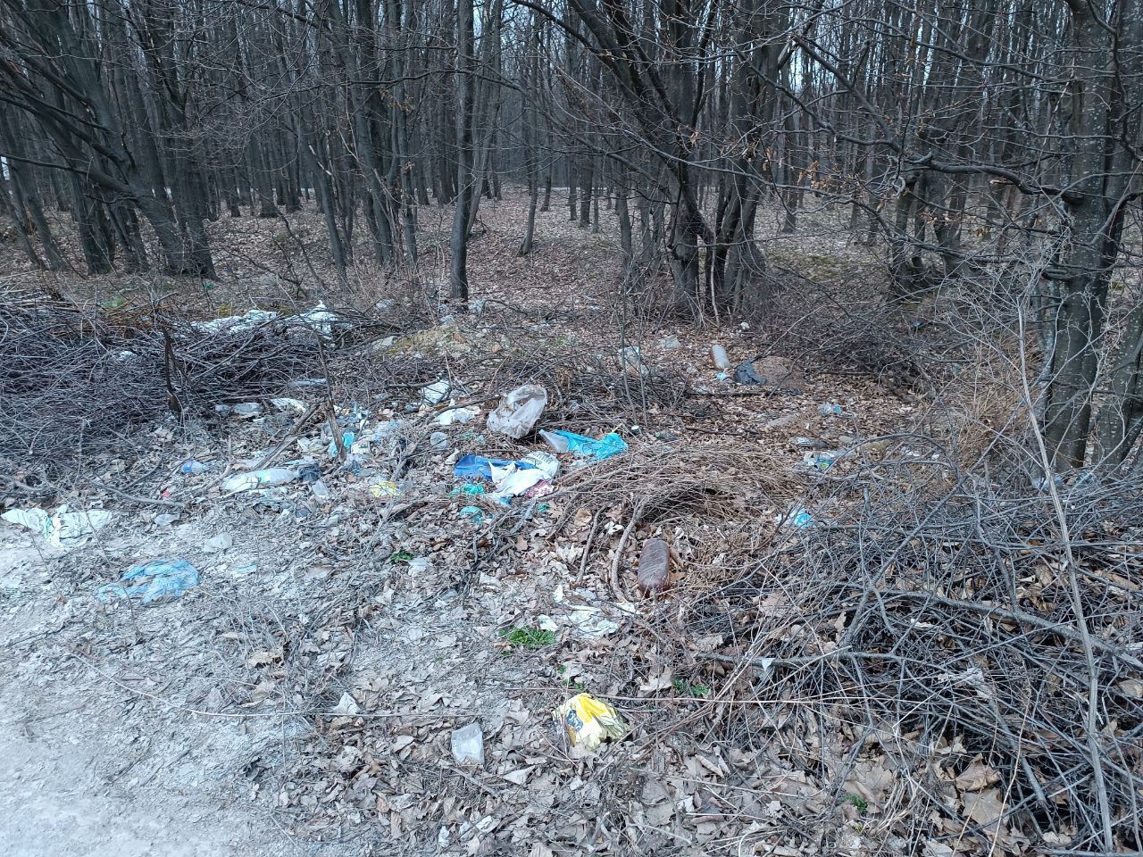 Новини Вінниці - фото з Біля Вінниці вже майже друга Стадниця. Дорога до села Майдан-Чапельський стає звалищем