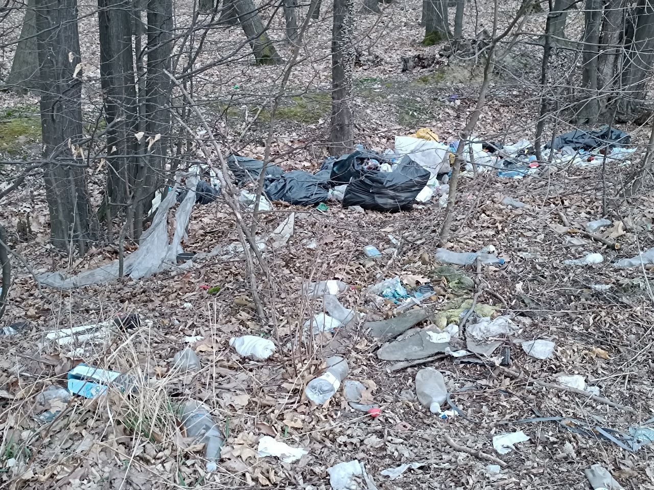 Новини Вінниці - фото з Біля Вінниці вже майже друга Стадниця. Дорога до села Майдан-Чапельський стає звалищем