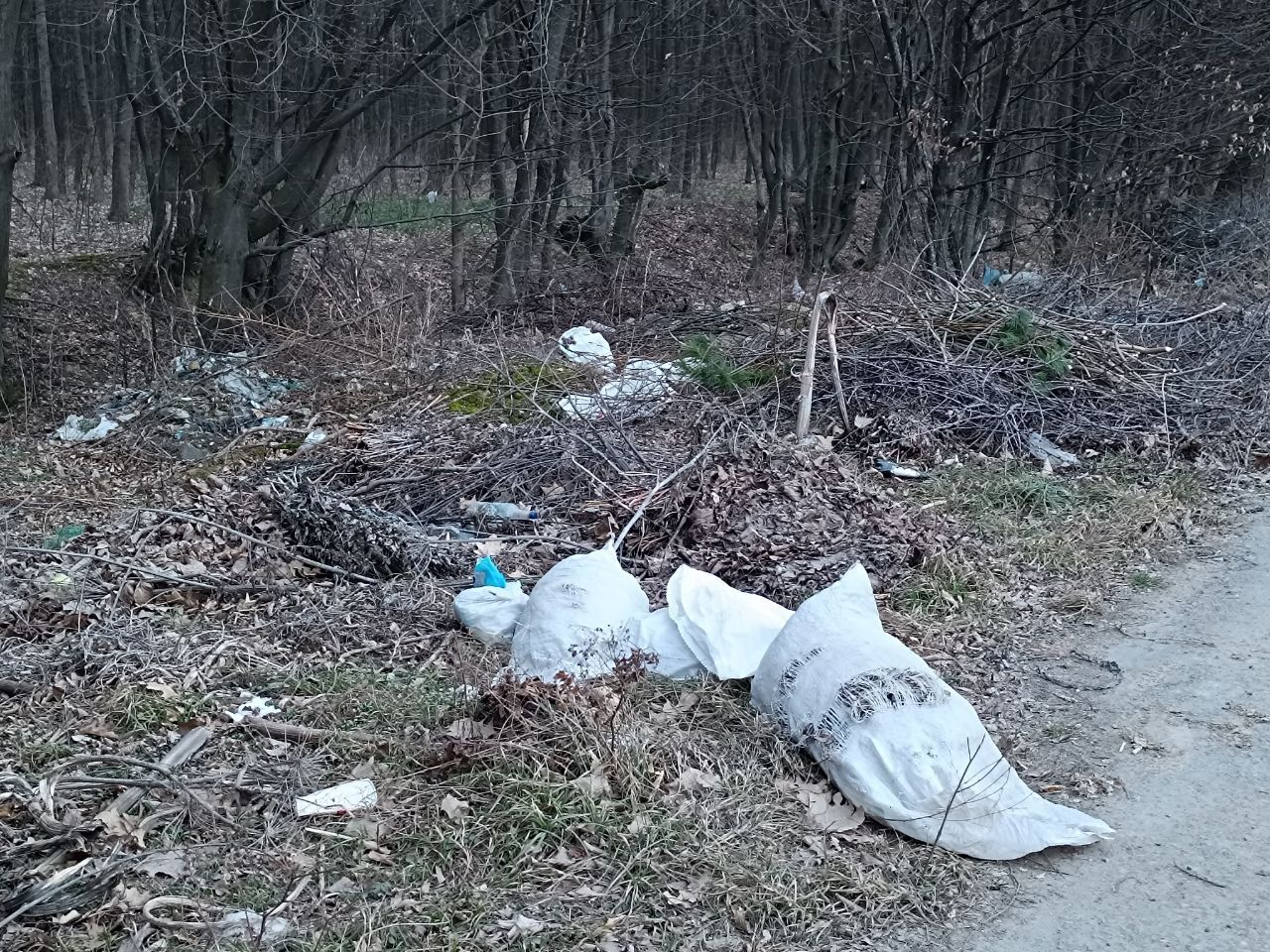 Новини Вінниці - фото з Біля Вінниці вже майже друга Стадниця. Дорога до села Майдан-Чапельський стає звалищем