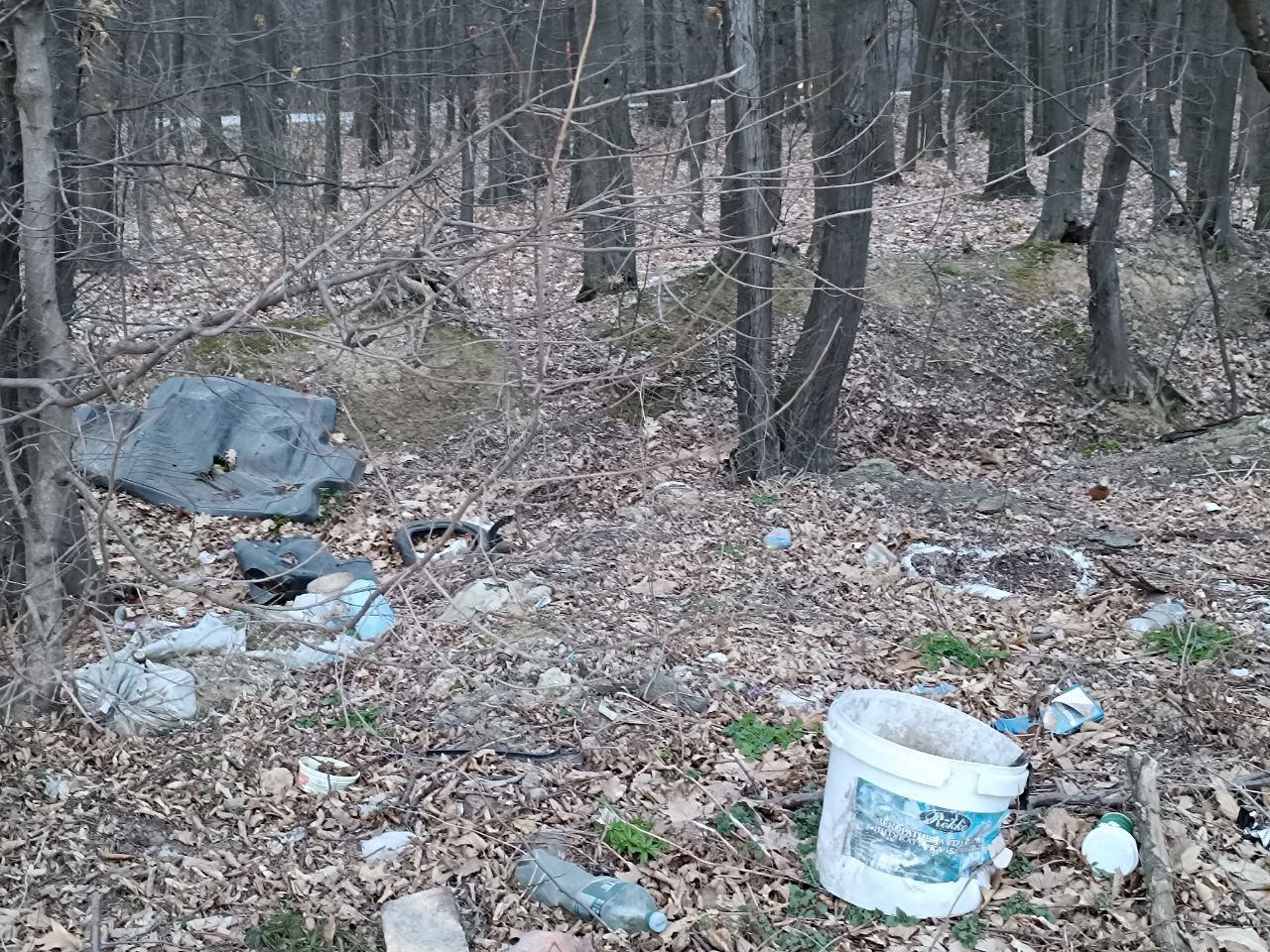Новини Вінниці - фото з Біля Вінниці вже майже друга Стадниця. Дорога до села Майдан-Чапельський стає звалищем