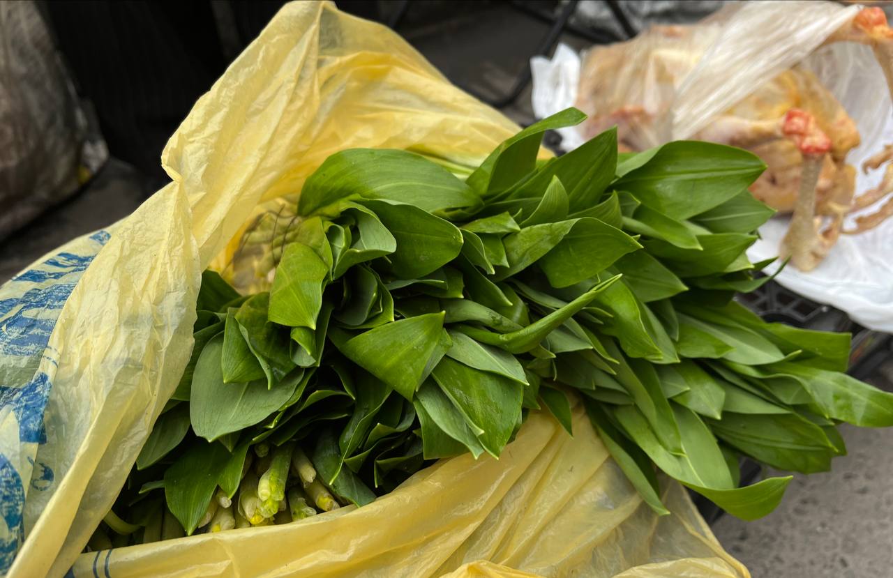 Новини Тернополя - фото з У Тернополі продають червонокнижну черемшу: розповідаємо про ціни та штрафи