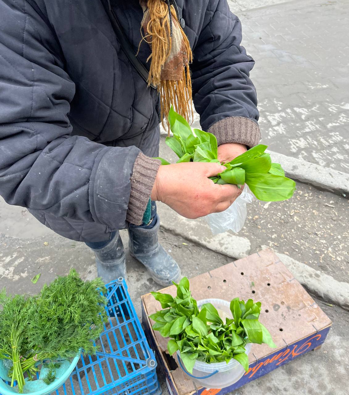 Новини Тернополя - фото з У Тернополі продають червонокнижну черемшу: розповідаємо про ціни та штрафи