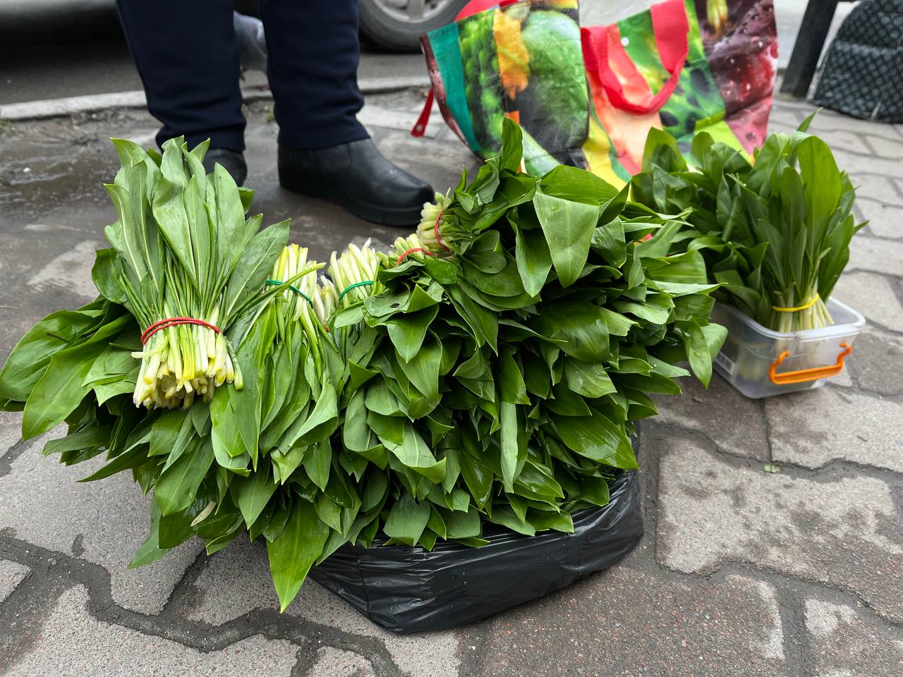 Новини Тернополя - фото з У Тернополі продають червонокнижну черемшу: розповідаємо про ціни та штрафи